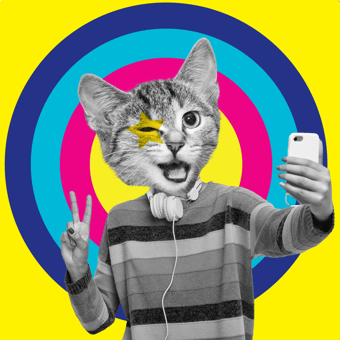 Charli-Cat-Influencer-1080